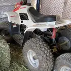 دباب نضيف استخدام شهر بس