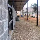 ايواء خيل في المزاحميه