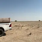 حمله رمث جروم يابس طيب