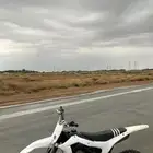 دباب صحراوي
