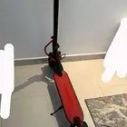 سكوتر