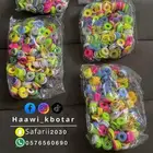 حجول طيور تفصيل من باكستان