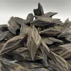 ليوبارد عود ( عود طبيعي محسن )