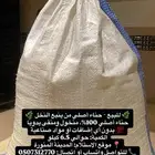 حناء ينبع النخل