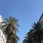 مكتب خدمات السياحة والسفر في الجزائر