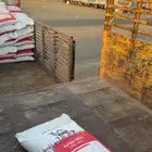 للبيع نخاله المدينة المنورة بسعر محدود الموقع تبوك