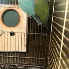جوز روز مع جميع اغراضه