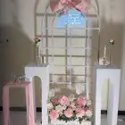 تنسيق تخرج ب 350