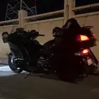 قولد وينق