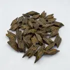 عود هيبة