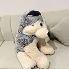 دميه ونتدر وندر لاند