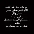ابي قطه للتبني انثى