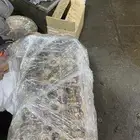 قطع مكينة افجي جكسار
