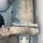 دنمو