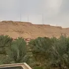 مزارع ومختص في انخيل واشراف موجود جميع انواع الفسائل الفاخره