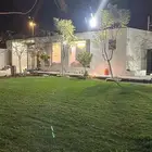 عشب طبيعي