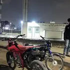 دباب صحراوي موديل 2024