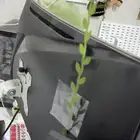 شاشه قيمنق
