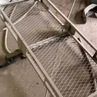 حمالة عفش جيب خلف السياره