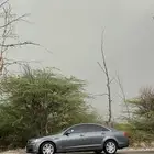 كابرس Ls 2013