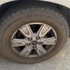 جنوط هايلوكس