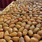 مفتل سكري حبه طيبه