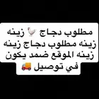 مطلوب دجاج   زينه زينه يكون في توصيل الموقع ضمد دجاج زينه