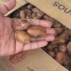 تمر اخلاص حبه جامبو ويوجد وسط الاحساء مزارع الوزيه والعيون