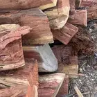 حطب سمر شلايخ