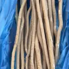 سواك الاراك درجه اولى حار ونظيف الموقع الجبيل