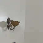 ثرية ولمبتها