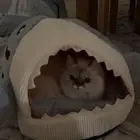 قطوه هملايا