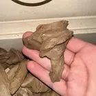 ثلاث أنواع بخور طبيعي مروكي وهندي