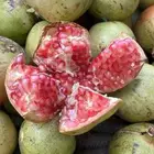 رمان بيده شرط توصيل مجااني