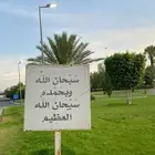 مطلوب شقه موثثه عوايل شهري