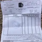 كفرات ربع يوكوهاما