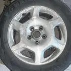 جنوط مكسيما للبيع