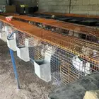 بطاريات ارانب مصريه