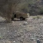 سمر افريقي صافي