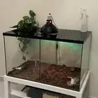 تفصيل أحواض زواحف