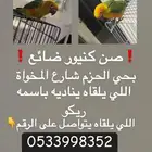 صن كنيور ضايع
