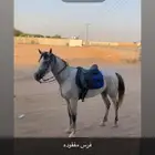 فرس مفقوده