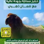 ذبايح تقسيط