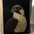 لوحة صقر