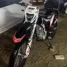 دباب صحراوي