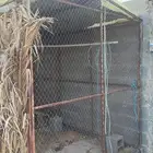 شبوك حمام