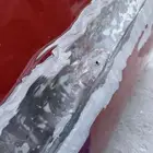 باب جمس يسار ويمين ابواب