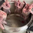 فروخ حمام للبيع فرنسي سلفر زاجل للبيع فاخر شحم ولحم