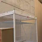 ستاند شبوك 601 مع شبوك