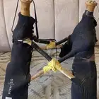 شداد للبيع